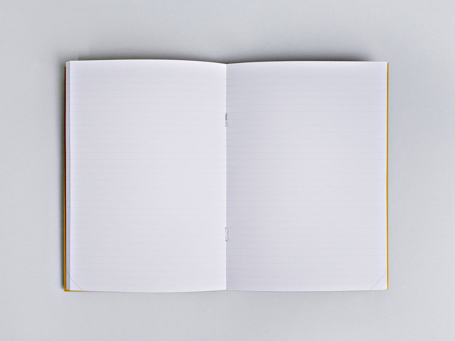 The Completist Lucia 100 Page Notebook