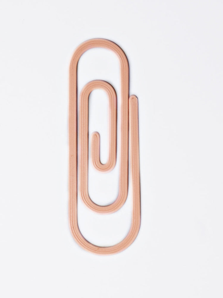 The Completist Paperclip 3D Printed Bookmark