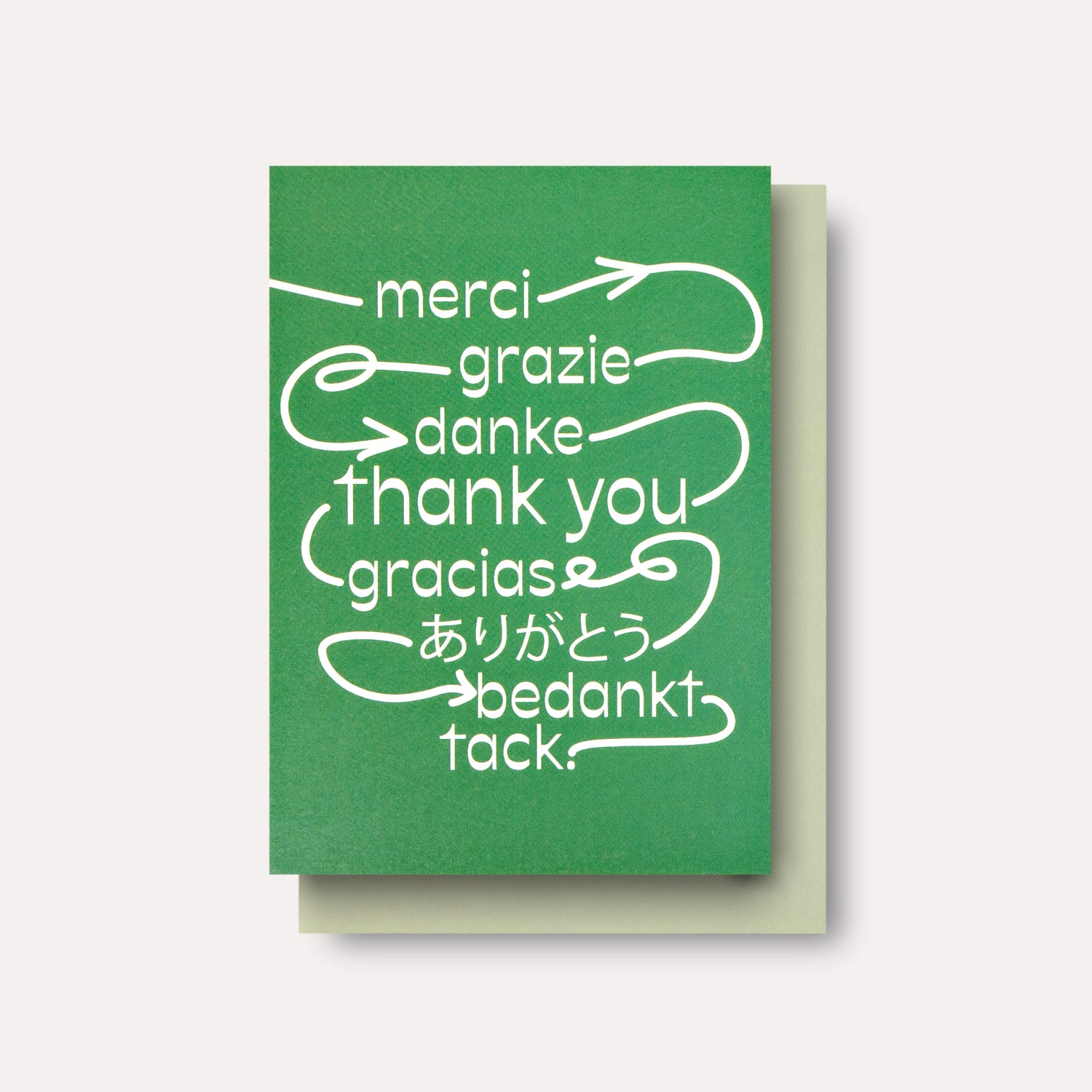 Ivy Thank You Card Set