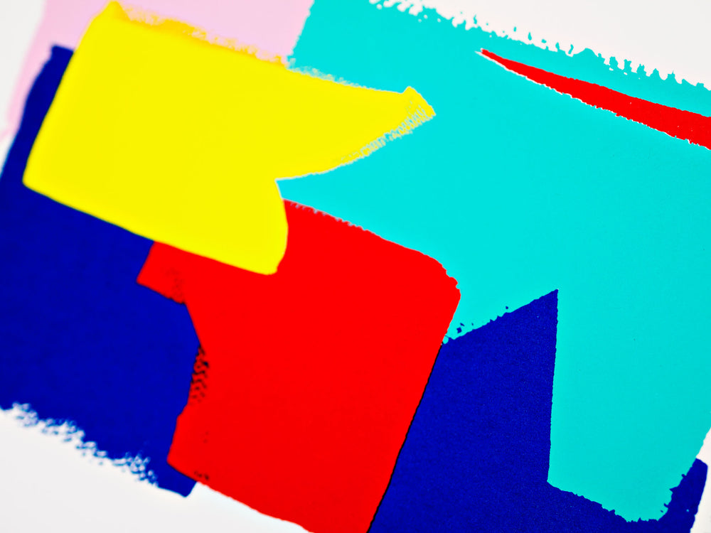 The Completist primary colour brush colour block screen print